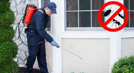 Karaisalı Akrep İlaçlama böcek ilaçlama ve haşere kontrolü — ilaclama-tr.com